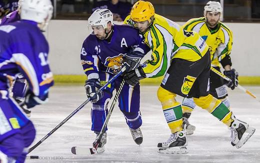 Photo hockey Division 3 - D3 : Play Off 1/8me de finale - Aller : Viry Hockey 91 vs Avignon - Avignon prend une bonne option