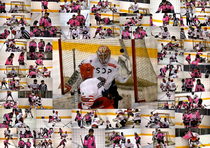 Photo hockey Division 3 - Division 3 - 12me journe : Rennes vs Cholet II - D3 - Reportage photos