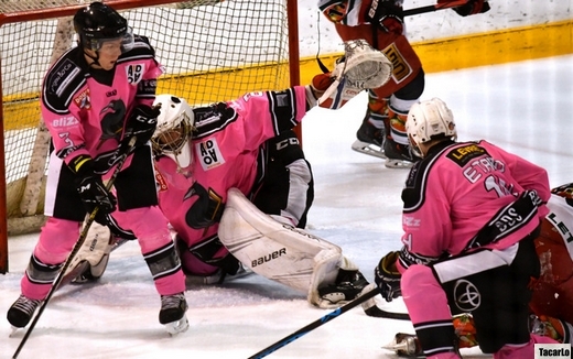 Photo hockey Division 3 - Division 3 - 18me journe : Rennes vs Anglet II - D3 - Reportage photos - Rennes vs Anglet2