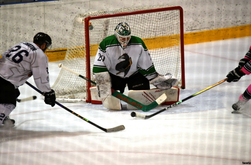 Photo hockey Division 3 - Division 3 : 20�me journ�e : Rennes vs Brest II - Au bout du suspense Brest brise les ailes des Cormorans