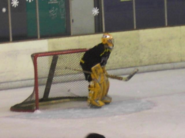 Photo hockey Division 3 - Division 3 : Besanon (Les Aigles) - D3 : La charge du Bouquetin abat le Rempart