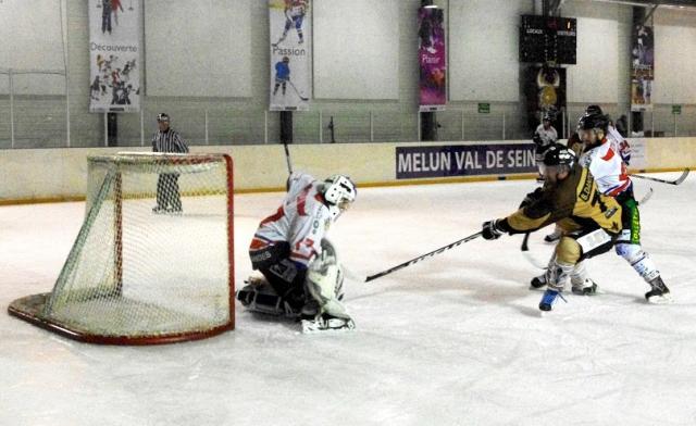 Photo hockey Division 3 - Division 3 : journe du 21 janvier 2017 : Dammarie-les-Lys vs Caen II - D3 - Des Caribous irrsistibles 