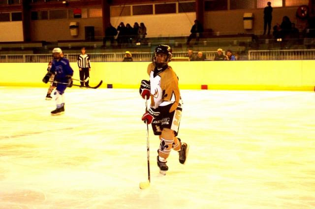 Photo hockey Division 3 - Division 3 : journe du 22 octobre 2016 : Garges-ls-Gonesse vs Dammarie-les-Lys - Les Caribous enchanent