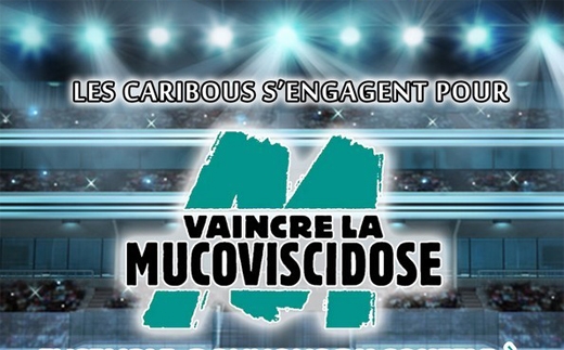 Photo hockey Division 3 - Division 3 - Les Caribous donnent du souffle  ceux qui en manque 