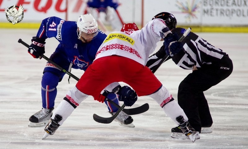 Photo hockey Equipes de France -  : France (FRA) vs Bilorussie (BLR) - Les Bleus mettent la manire