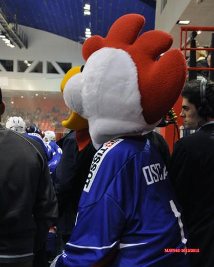 Photo hockey Equipes de France - Equipes de France - EDF  Amiens : Au bout du suspense !