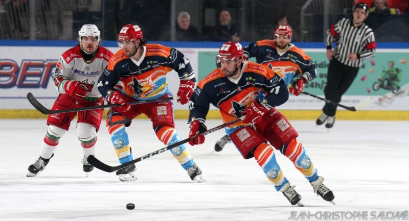 Photo hockey Europe : Continental Cup - CHL -  : Cardiff Devils vs Grenoble  - Un flop Continental ! 