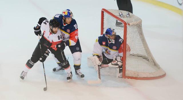 Photo hockey Europe : Continental Cup - CHL - Europe : Continental Cup - CHL - CHL : Entre, victoire et dfaite