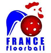Photo hockey Floorball  - Floorball  - Le Floorball : Un sport en devenir 