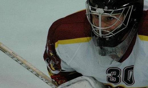 Photo hockey Hockey dans le Monde - Hockey dans le Monde - Benot Niclot...tout va bien