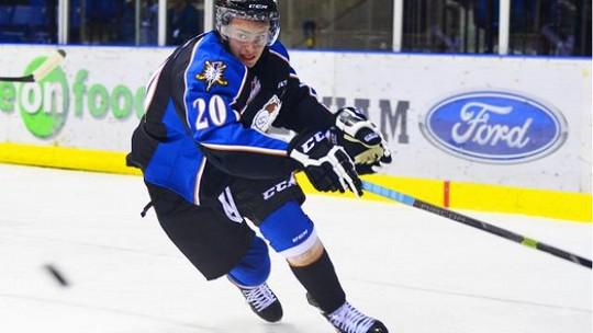 Photo hockey Hockey dans le Monde - Hockey dans le Monde - WHL : Bozon impressionnant