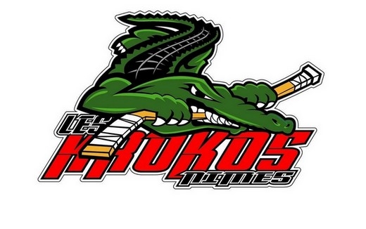 Photo hockey Hockey en France - Hockey en France -  Hte de revoir du hockey  Nmes !