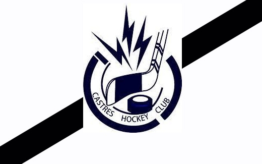 Photo hockey Hockey en France - Hockey en France : Castres (Castres Hockey Club) - Le Castres Hockey Club menacé de disparaitre