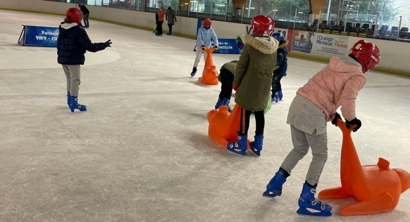 Photo hockey Hockey en France - Hockey en France - HANDICAP - LE HOCKEY ET SES PARTICULARITES