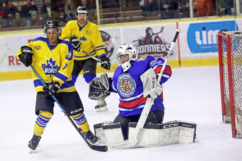 Photo hockey Hockey en France - Hockey en France - Match caritatif à Chamonix : La Suède prend sa revanche