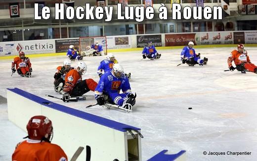 Photo hockey Hockey en France - Hockey en France : Rouen (Les Dragons) - Hockey luge  Rouen.