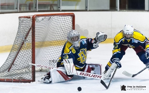 Photo hockey Hockey Fminin - Hockey Fminin - Elite Fminine - Evry Viry vs Tours