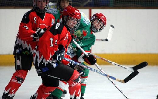 Photo hockey Hockey fminin - Hockey fminin - Fm. Elite : Neuilly - Cergy
