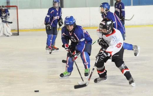 Photo hockey Hockey Mineur - Hockey Mineur : Cherbourg (Les Vikings) - Tournoi Cherbourg : Rsultats et Photos