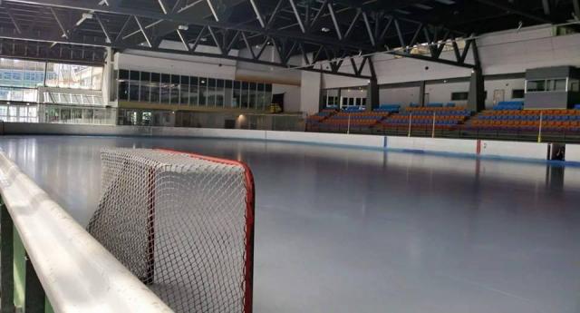 Photo hockey Hockey Mineur - Hockey Mineur - Tournoi des Petits Champions : Dans la peau des Coqs