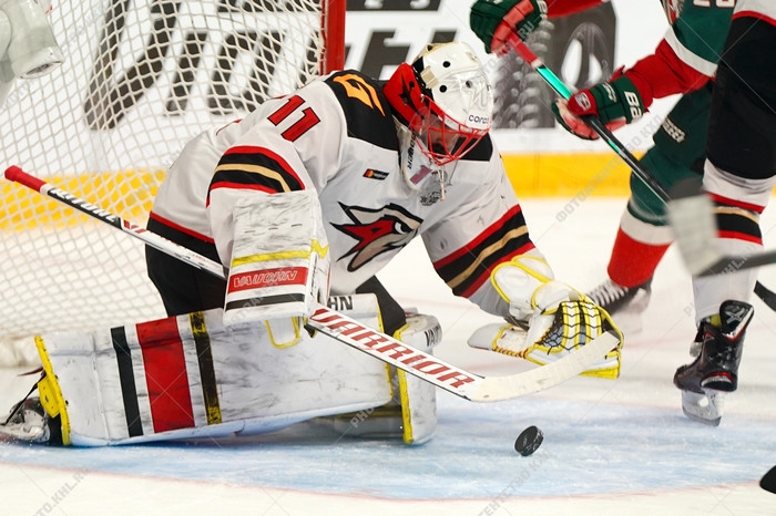 Photo hockey KHL - Kontinental Hockey League - KHL - Kontinental Hockey League - KHL : Vole petit oiseau !