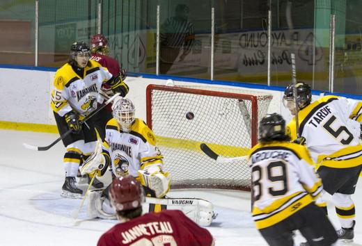 Photo hockey LHJMQ - Ligue de Hockey Junior Majeur du Qubec - LHJMQ - Ligue de Hockey Junior Majeur du Qubec - Les Condors marrons !