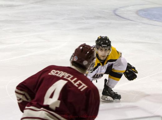 Photo hockey LHJMQ - Ligue de Hockey Junior Majeur du Qubec - LHJMQ - Ligue de Hockey Junior Majeur du Qubec - Les Condors marrons !