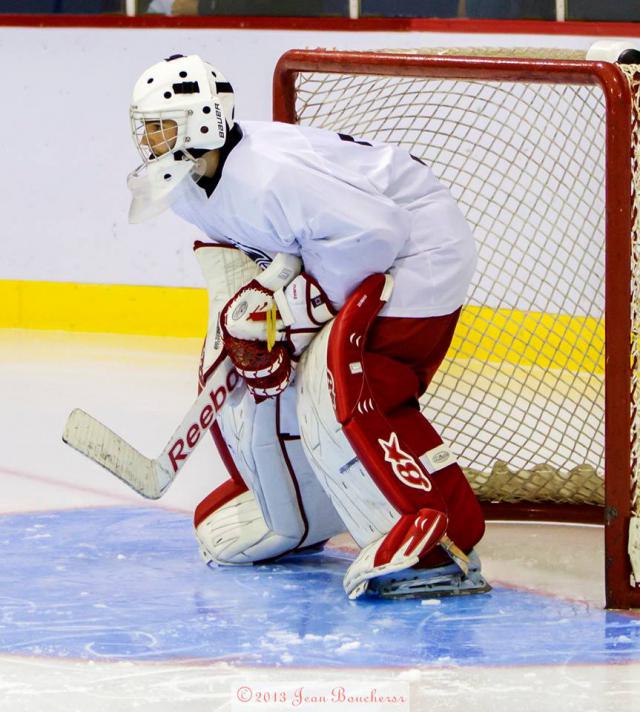 Photo hockey LHJMQ - Ligue de Hockey Junior Majeur du Qubec - LHJMQ - Ligue de Hockey Junior Majeur du Qubec - Les jeunes font le travail !