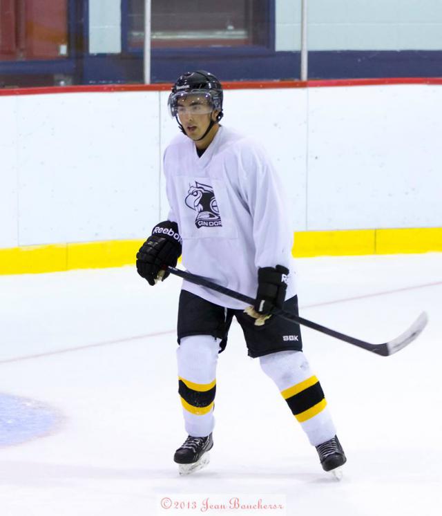 Photo hockey LHJMQ - Ligue de Hockey Junior Majeur du Qubec - LHJMQ - Ligue de Hockey Junior Majeur du Qubec - Les jeunes font le travail !