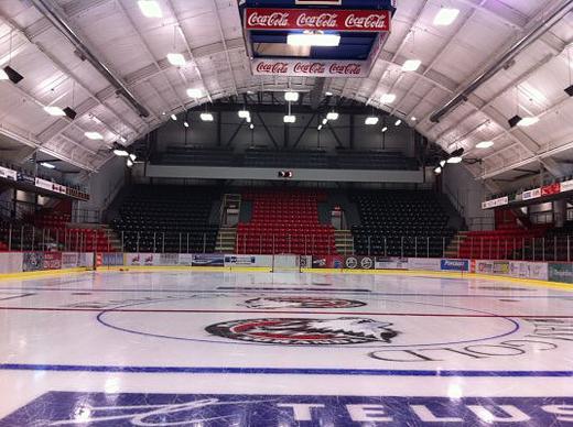 Photo hockey LHJMQ - Ligue de Hockey Junior Majeur du Qubec - LHJMQ - Ligue de Hockey Junior Majeur du Qubec - LHJMQ : ombres sur l