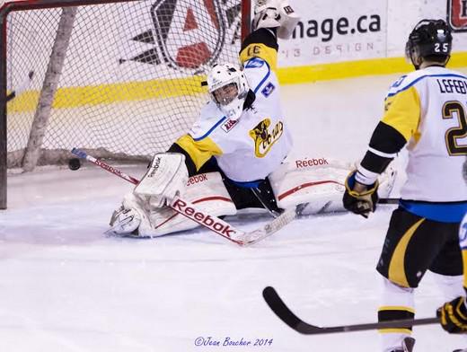 Photo hockey LHJMQ - Ligue de Hockey Junior Majeur du Qubec - LHJMQ - Ligue de Hockey Junior Majeur du Qubec - On passe aux choses srieuses chez les Condors !