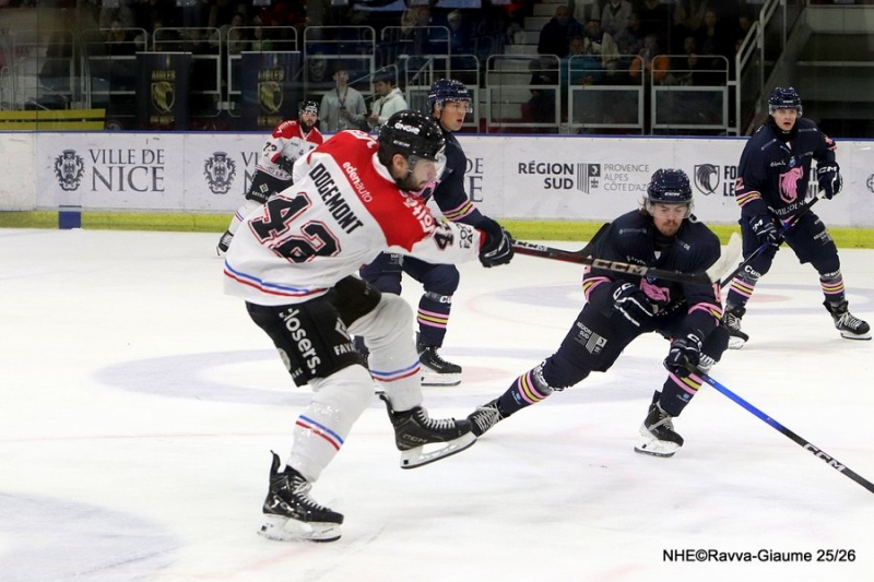 Photo hockey Ligue Magnus - Ligue Magnus  : 10me journe : Nice vs Bordeaux - les Aigles aux forceps