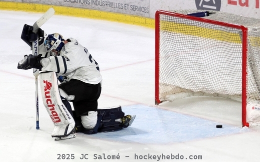 Photo hockey Ligue Magnus - Ligue Magnus  : 25�me journ�e : Grenoble  vs Gap  - Gap s�effondre � P�le Sud