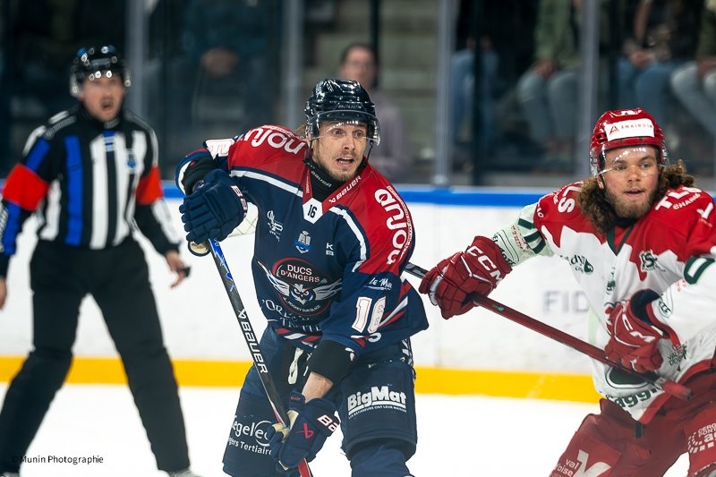 Photo hockey Ligue Magnus - Ligue Magnus  : 26�me journ�e : Angers  vs Cergy-Pontoise - Les Ducs s
