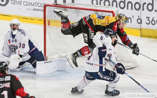Photo hockey Ligue Magnus - Ligue Magnus  : 38�me journ�e : Amiens  vs Angers  - Amiens fait tomber Angers