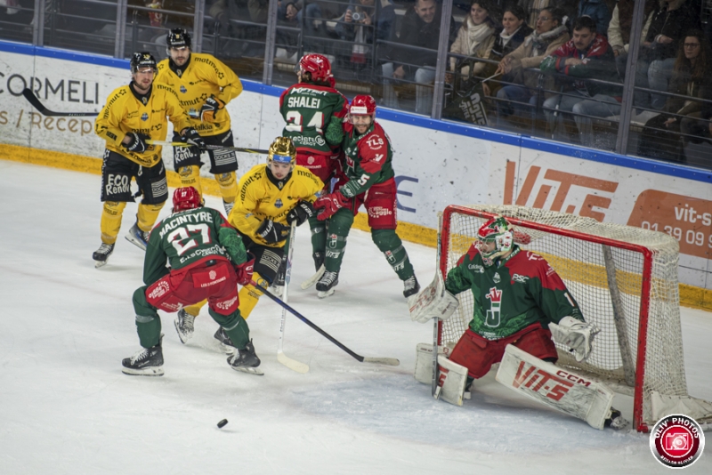 Photo hockey Ligue Magnus - Ligue Magnus  : 38�me journ�e : Cergy-Pontoise vs Rouen - Rouen en patron � Cergy