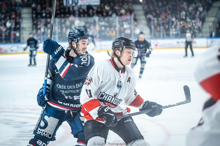 Photo hockey Ligue Magnus - Ligue Magnus - 1/4 de Finale - Match 2 : Angers  vs Chamonix  - Angers vs Chamonix Photos Match 1 et 2