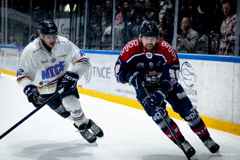 Photo hockey Ligue Magnus - Ligue Magnus - 1/4 de Finale - Match 5 : Angers  vs Nice - Nice empoche le cinqui�me round !