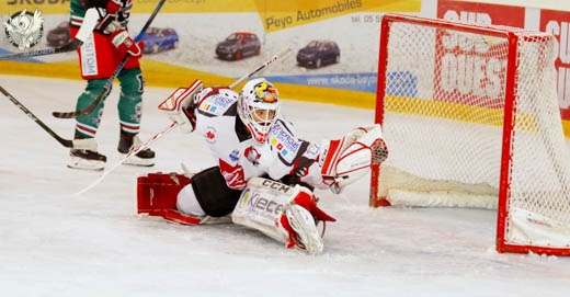 Photo hockey Ligue Magnus - Ligue Magnus : 10me journe : Anglet vs Amiens  - Les Gothiques opportunistes
