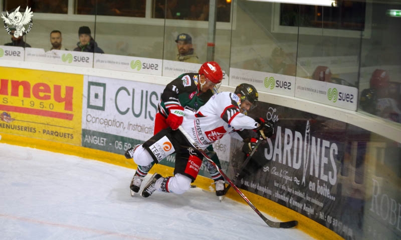 Photo hockey Ligue Magnus - Ligue Magnus : 10me journe : Anglet vs Amiens  - Les Gothiques opportunistes