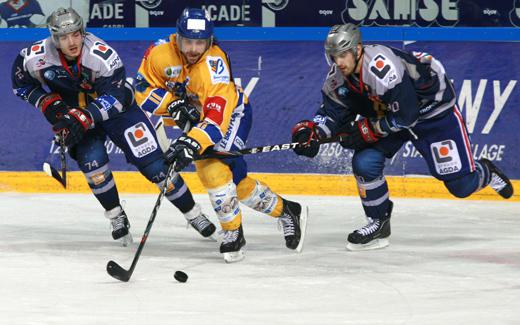 Photo hockey Ligue Magnus - Ligue Magnus : 10me journe : Grenoble  vs Dijon  - Grenoble dans la mauvaise spirale