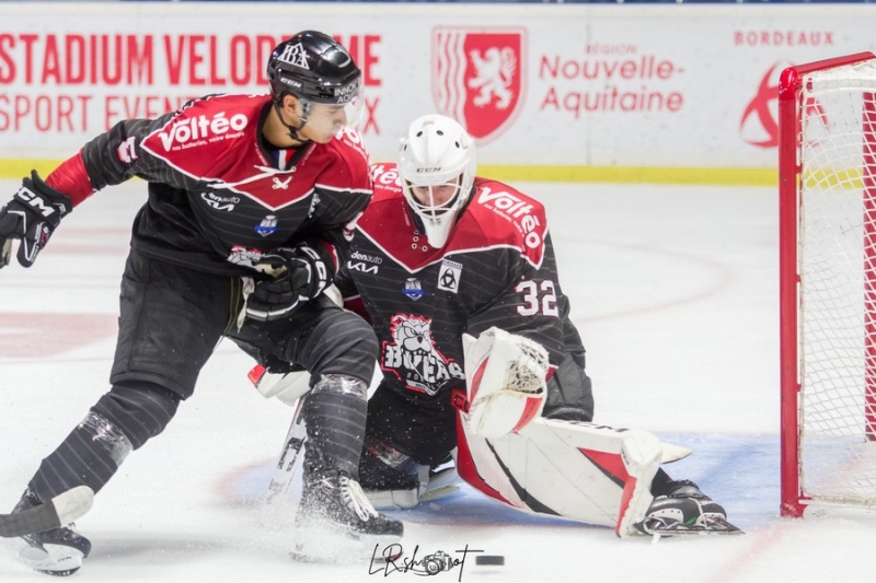 Photo hockey Ligue Magnus - Ligue Magnus : 12me journe : Bordeaux vs Gap  - Les Rapaces tiennent leur revanche  Mriadeck ! 