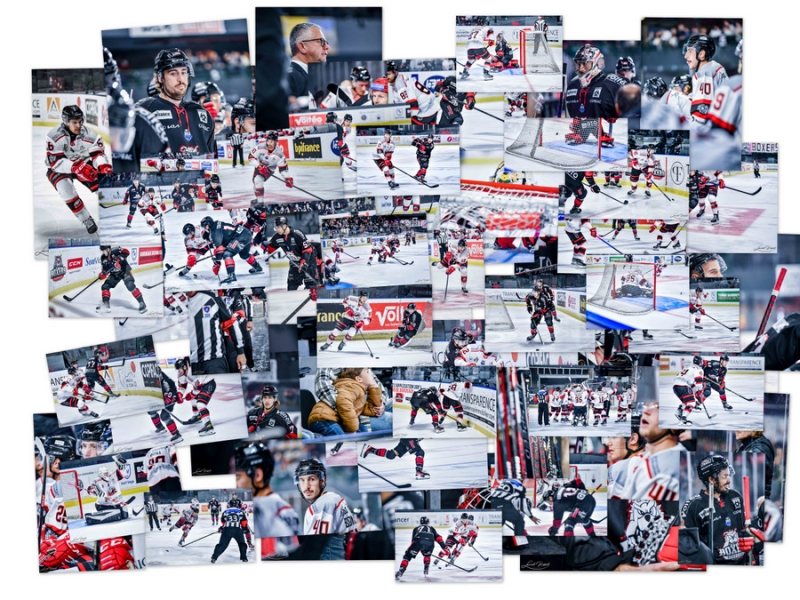 Photo hockey Ligue Magnus - Ligue Magnus : 12me journe : Bordeaux vs Nice - Nice s