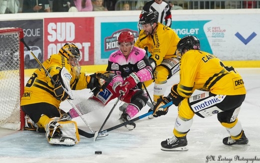 Photo hockey Ligue Magnus - Ligue Magnus : 14me journe : Anglet vs Rouen - LES PHOTOS de la victoire de Rouen  Anglet