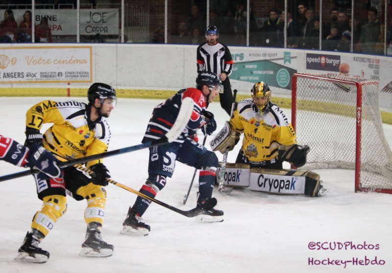 Photo hockey Ligue Magnus - Ligue Magnus : 15me journe : Angers  vs Rouen - Reportage photos