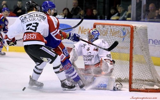 Photo hockey Ligue Magnus - Ligue Magnus : 15me journe : Mulhouse vs Nice - Mulhouse se remet en selle