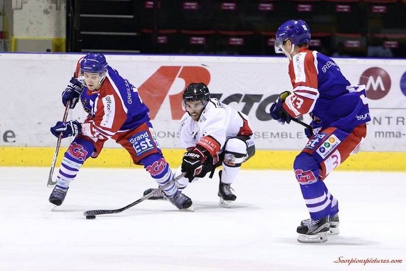 Photo hockey Ligue Magnus - Ligue Magnus : 15me journe : Mulhouse vs Nice - Mulhouse se remet en selle