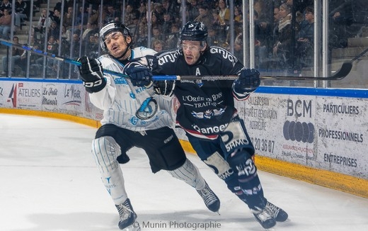 Photo hockey Ligue Magnus - Ligue Magnus : 19me journe : Angers  vs Marseille - Victoire des Ducs vs Marseille - RESUME VIDEO + PHOTOS