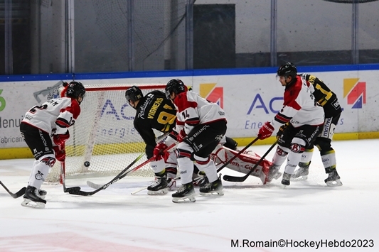 Photo hockey Ligue Magnus - Ligue Magnus : 19me journe : Rouen vs Brianon  - LM : Les Dragons appliqus.