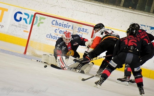 Photo hockey Ligue Magnus - Ligue Magnus : 1re journe : Chamonix  vs Nice - Victoire  sens unique des Aigles